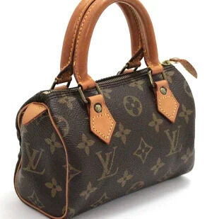 Louis Vuitton Monogram Speedy Handbag